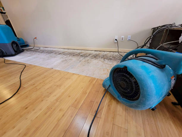 Professional Structural Drying technician working in Hartford, CT